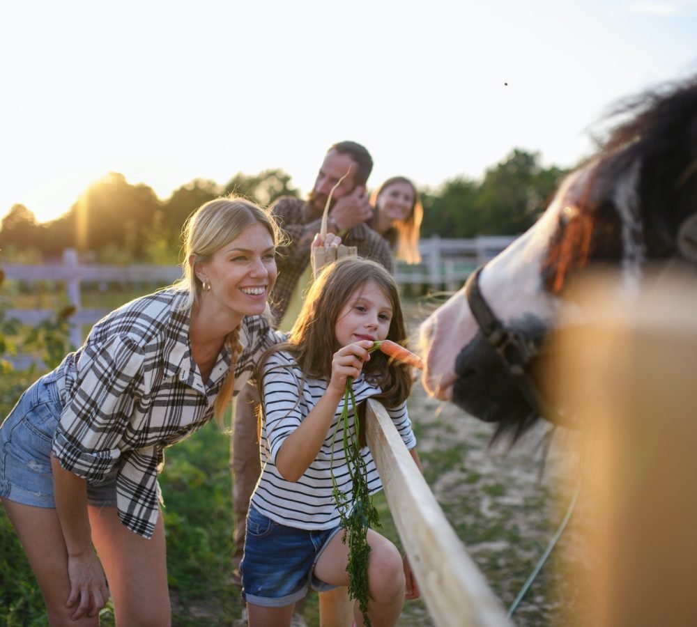 little-girl-with-mother-feeding-horse-outdoors-at-community-farm.jpg